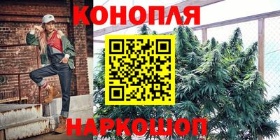 гидропоника Нальчик