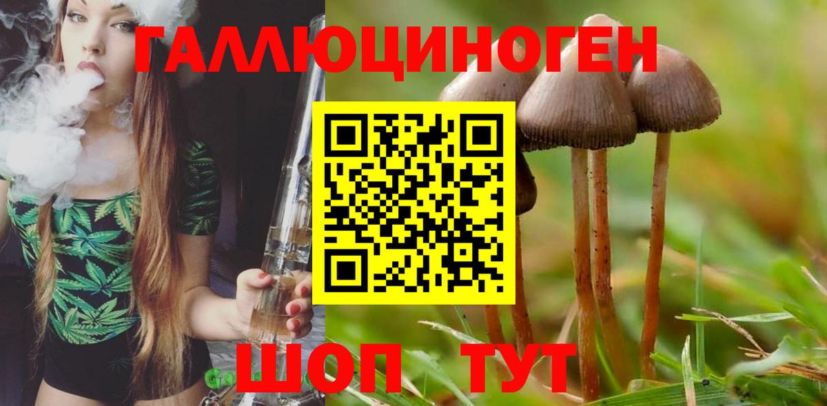 Вичуга  Галлюциногенные грибы MAGIC MUSHROOMS  Галлюциногенные грибы Psilocybine cubensis  Вход с VPN 