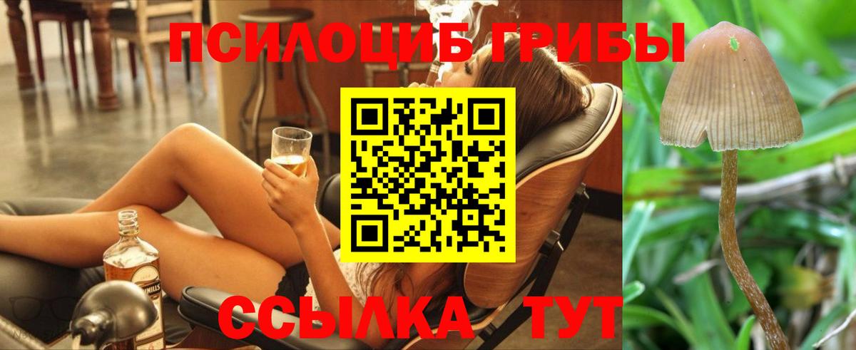 Псилоцибиновые грибы ЛСД Вичуга